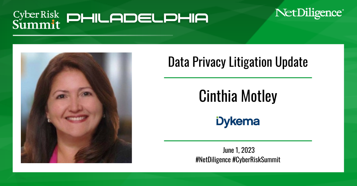 Data Privacy Litigation Update | Dykema