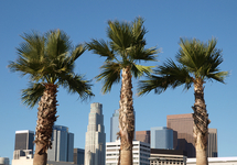 Photo of Dykema opens its first office west of the Mississippi—in Los Angeles—bringing its Midwest work ethic to the West Coast.